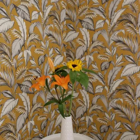 Eden Couette-café LʼAquila